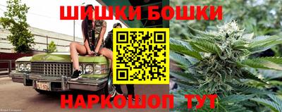 крисы Апшеронск
