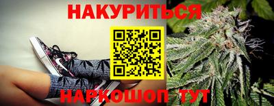 крисы Апшеронск